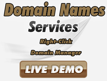 Cut-rate domain registration services